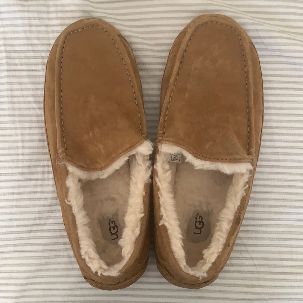 UGG Men’s Ascot Slipper in Chestnut